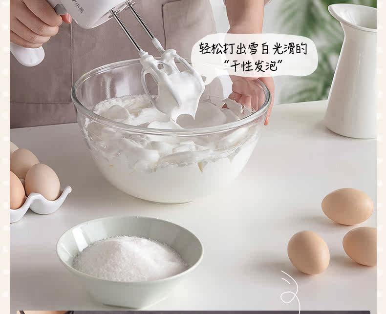 Описание Дизайн EggBeater DDQ-B01L1 Описание Окончательный выходной файл 6_06.jpg