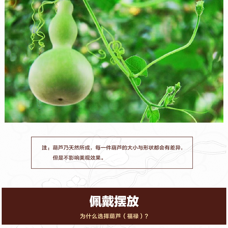 Đầy màu sắc bầu búp bê quà tặng đồ trang trí đầy màu sắc bầu búp bê mặt dây đồ chơi tự nhiên đạo cụ bầu - Trang trí nội thất decor phòng ngủ đơn giản