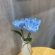 F17-Flower Tulip Blue Once Time