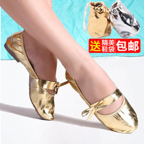 Belly dance special shoes practice soft sole adult ethnic dance Indian dance shoes Women Oriental dance shoes Beginner gold