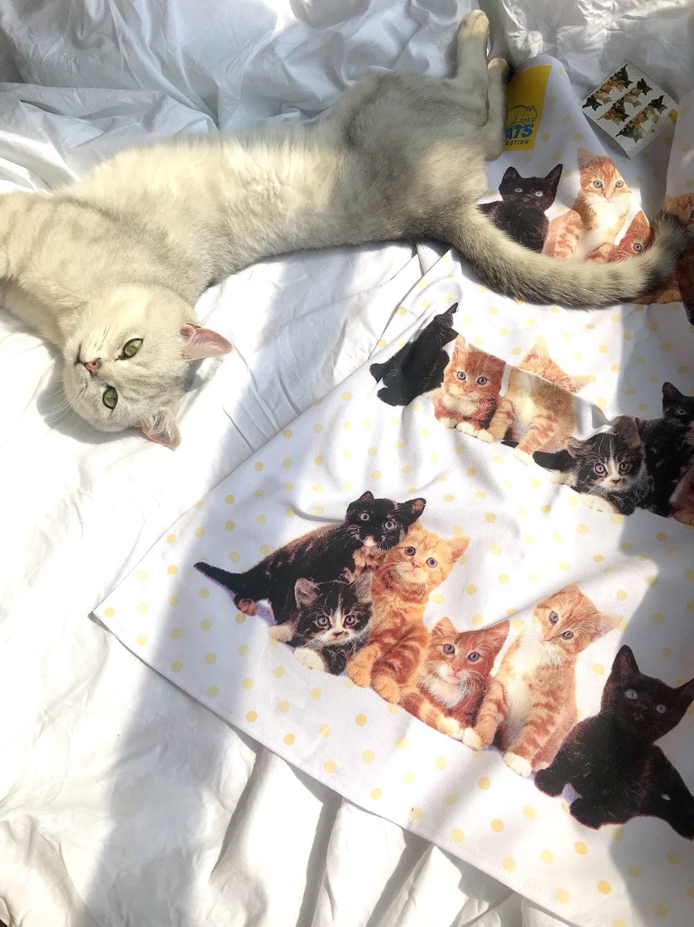 Miss Zoé Flipping Cute Little Milky Cat Tea Towels Anti Dust Geb Decoration Painting Hem BACKGROUND