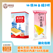 Sofia Veified Milk Ice Cream Raw Cows Milk Vanilla Taste Ice Cream Semi Cooked Cheese Cheese Ice Cream 