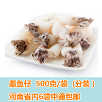 Frozen large number of ice rink fish paparazzi 3 to ink fish paparazzi 500 gr bags