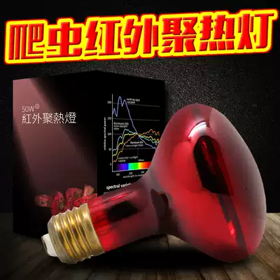 Crawling world infrared night heating lamp heating lamp Tortoise night light Lizard night light Buy two
