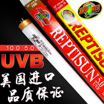 ZOOMED Zumaite reptile uvb lamp UV 10 0 5 0 tortoise lizard calcium supplement T8 type UVB lamp