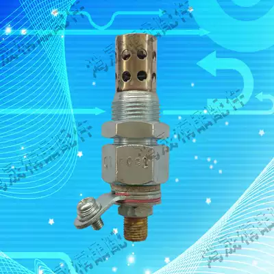 Flame preheater heater heater diesel fuel preheater diesel fuel pipe Laiyang diesel engine Futian Black Panther