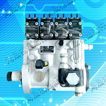 Dragon pump National Three fuel injection pump Laiyang diesel engine diesel pump 4TD55A4TD60A4TD70