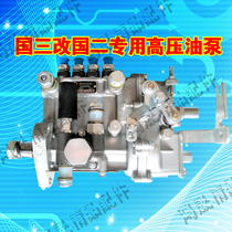 Tractor National Three Reform National Second Diesel Engine Modification Laiyang Diesel Engine Conversion vepump Single Body Pump