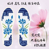 Молочный белый край 8532 Clivia