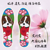 Bao Bian 8528 милая собака