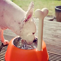Spot Italy imported Alessi LUPITA color bone large-capacity pet dog food bowl drinking basin