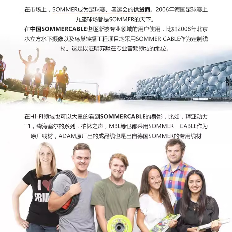 SOMMER Epilogue 太阳神1米插图8