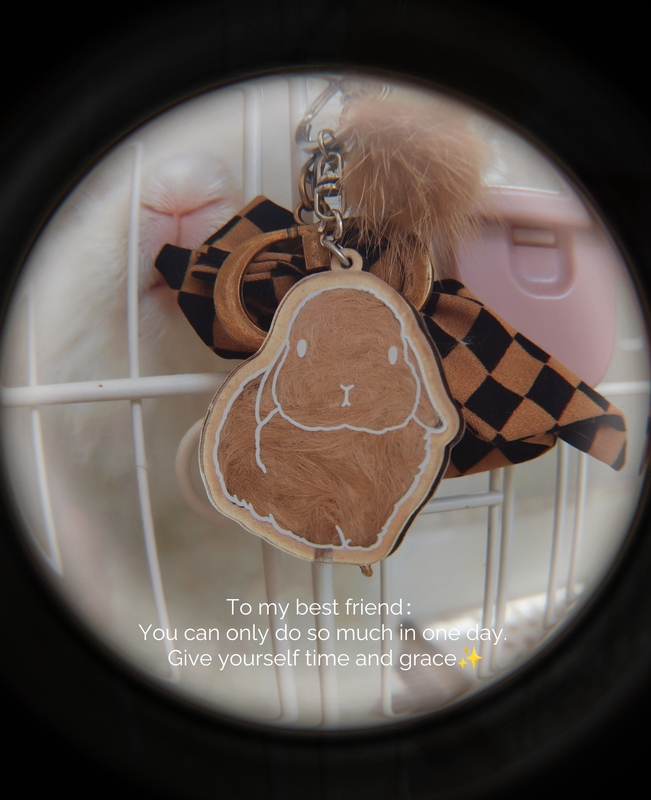 Original Design Lop-Eared Rabbit Pet Fur Collection Keychain DIY Pendant Cute Cartoon Bunny Chain Decoration