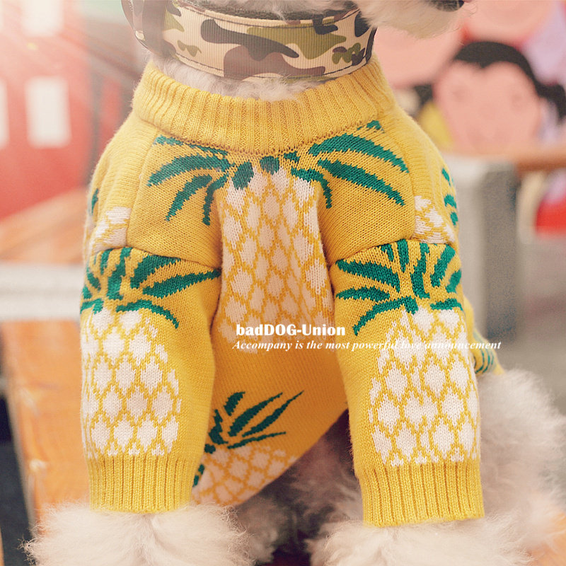 Pet Autumn Winter Tide Card Pineapple Sweater Teddy Bibi Bear Snownery Dogfight Cotton T Pooch Cat Clothes