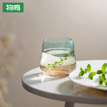 Wong Taizhu glass cup household high temperature and cute freshnsen office cup cup