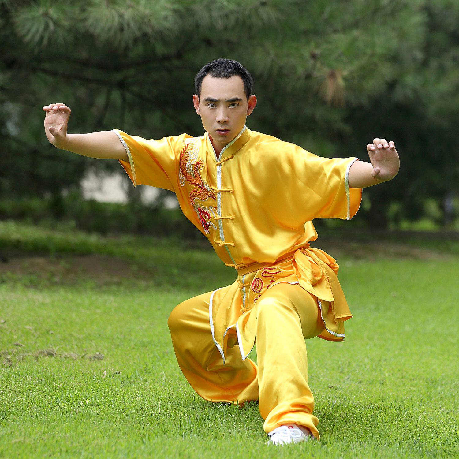 Tai Chi Martial Arts Suit Martial Arts Performance Serve of Men and Women in the same section Multi-color Children Performance Costume Training Suit Embroidery