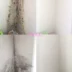 3 chai tẩy tường tường khuôn khuôn tẩy trang đồ nội thất tường trắng phòng tắm tường gạch sạch hơn - Trang chủ thuốc tẩy bồn cầu Trang chủ
