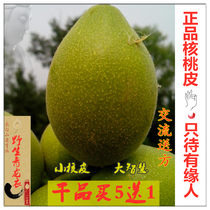 Wild walnut skin Qinglong Yi Northeast Changbai Mountain immature green leather walnut skin powder message