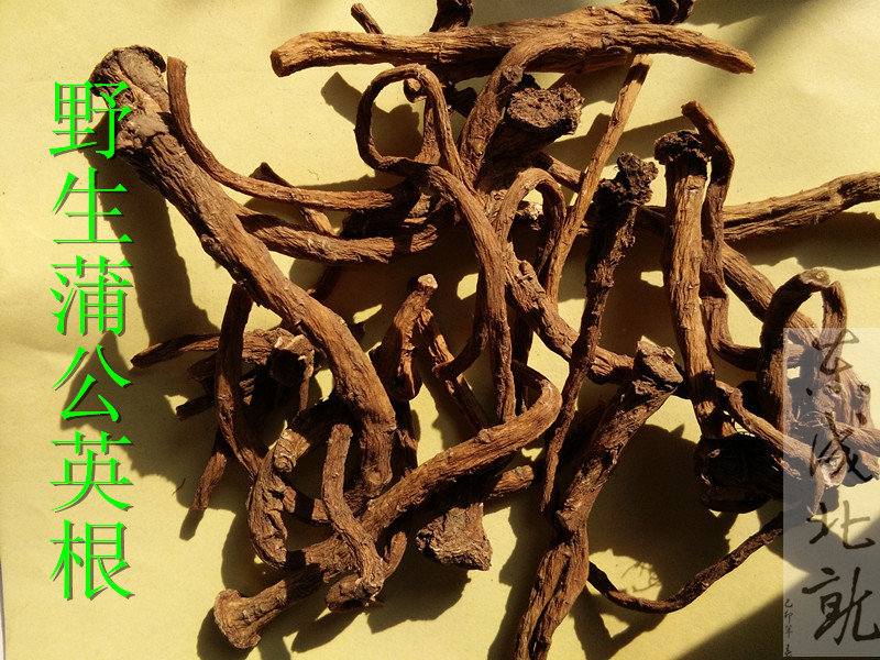 Northeast wild dandelion root mother-in-law Ding Pabuhay Pee Bed Grass 500 gr