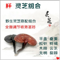 Changbai Mountain Wild Ganoderma lucidum liver-Regulating Combination flat cover Phellinus yellow birch Brown cracked hoof Wood hoof Yunzhi sessile