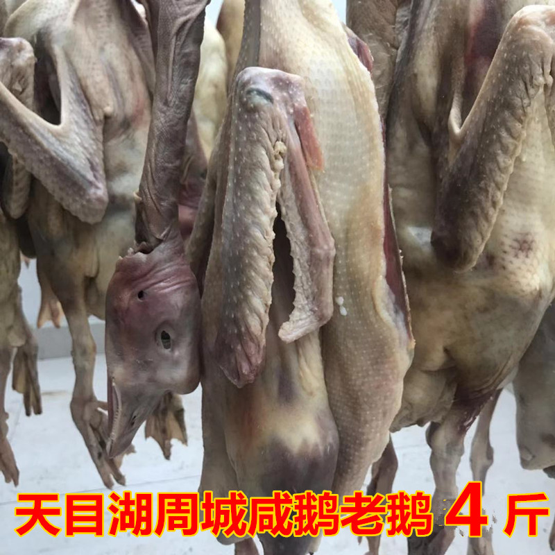 Zhoucheng salty goose 4 catties old goose farmhouse pickled air-dried goose wind goose Maoshan old goose Liyang Tianmu Lake specialty