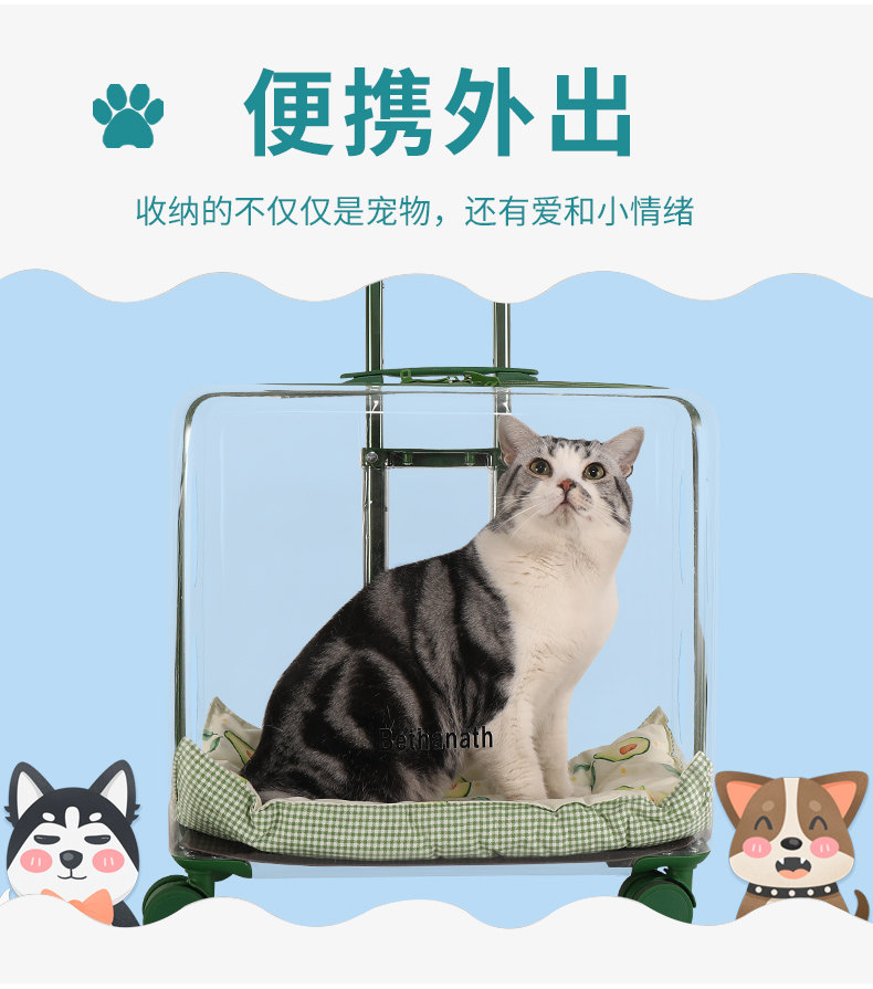 Pet Out Pull Lever Box Large Capacity Transparent Travel Case Dogs SHOULDER BAG PORTABLE SPACE CLASS TRANSPARENT CAT BAG PORTABLE