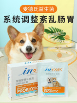 Pet Pooch Probiotics Meds Conditioning Gastrointestinal Lahi Diarrhea Eats Gut Kokie Young Dog Cat Universal