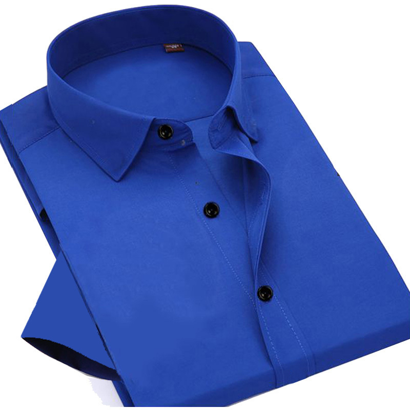 Summer Men's Short-Sleeved Shirt, Business Casual, Korean Style, Slim Fit, Solid Color, Sapphire Blue, Pure Cotton Shirt, No-Iron, Anti-Wrinkle