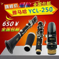 Yamaha / Yamaha clarinet B dụng cụ clarinet phẳng 17 đảm bảo chất lượng clarinet chính - Nhạc cụ phương Tây đàn guitar yamaha