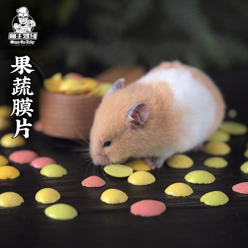 Adorable main drive to the hamster hedgehog honey bag glider snack squirrel food buns fruit and vegetable soluble beans taste good
