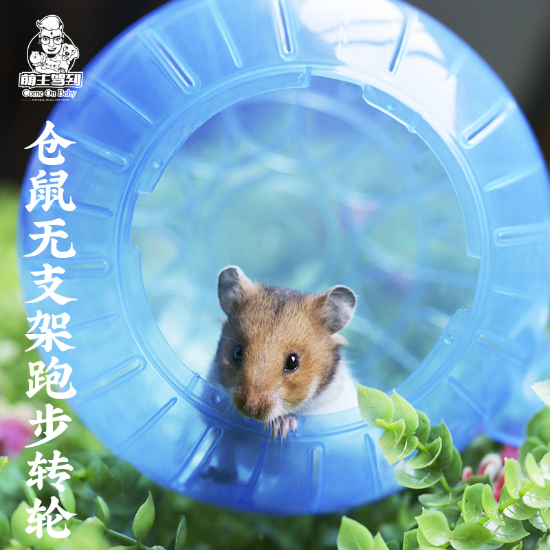Cute owner drove to hamster ball Golden bear running ball Petanque sports ball Pet toys without bracket
