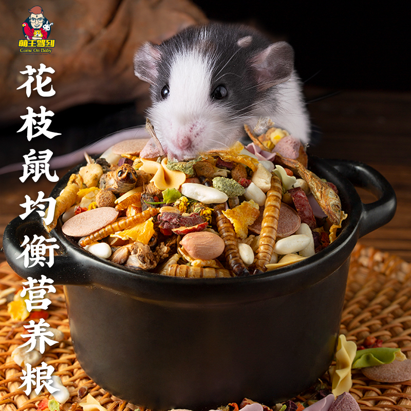 Meng main driver to flower and mouse grain nutrition rat grain staple food pet rat grain self-matching grain special grain feed supplies