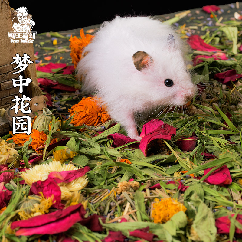 The main driver to the hamster golden silk bear flower and grass mat stock wood chips flower branches and sage to deodorize and dry flower summer supplies