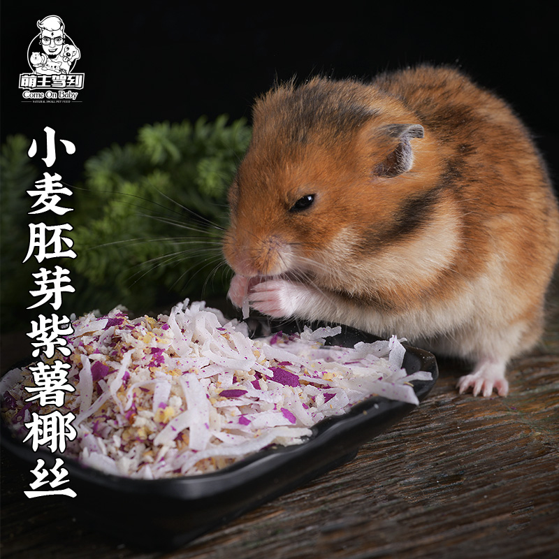 Hamster Golden Bear Wheat Germ Purple Potato Coconut Snacks Squirrel Big Eye Flying Squirrel Honey Bag Glider Staple Food Companion