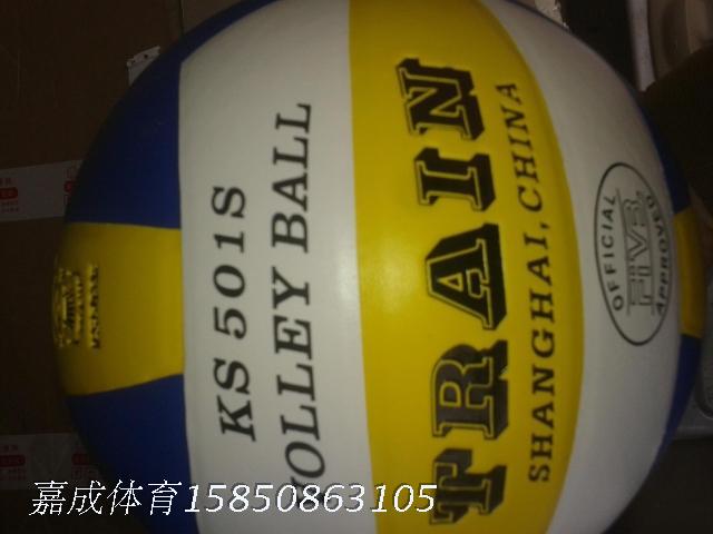 Ballon de volley - Ref 2013553 Image 12