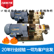 Stainless steel cam rotor pump food grade sauce sugar honey jam salad resin paste pump rotor pump pump head