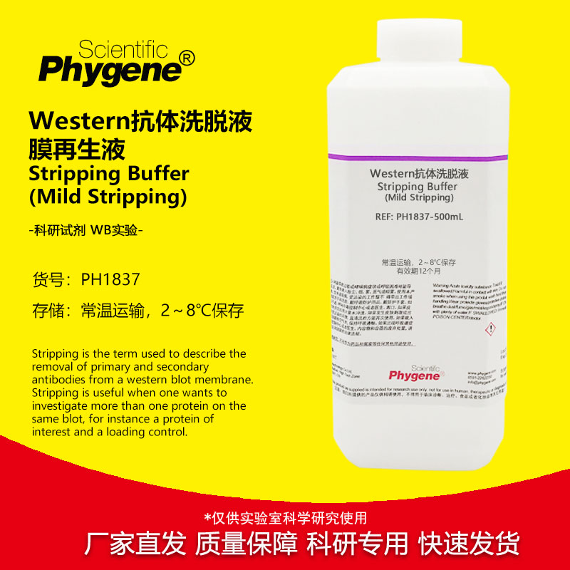 Western抗体洗脱液洗膜液 膜再生液 Mild Stripping 温和型 500mL