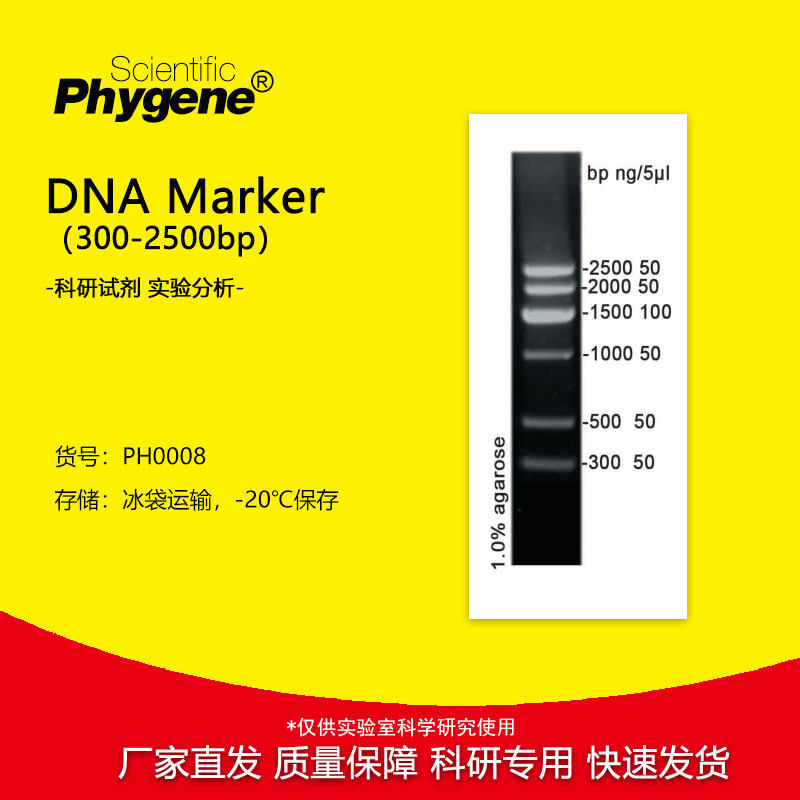 DNA Marker（300-2500bp）核酸电泳试剂 100T [PH0008 PHYGENE]