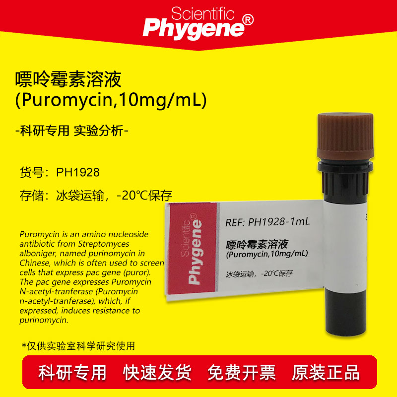 嘌呤霉素溶液10mgml 科研实验生化试剂 Phygene品牌嘌呤霉素