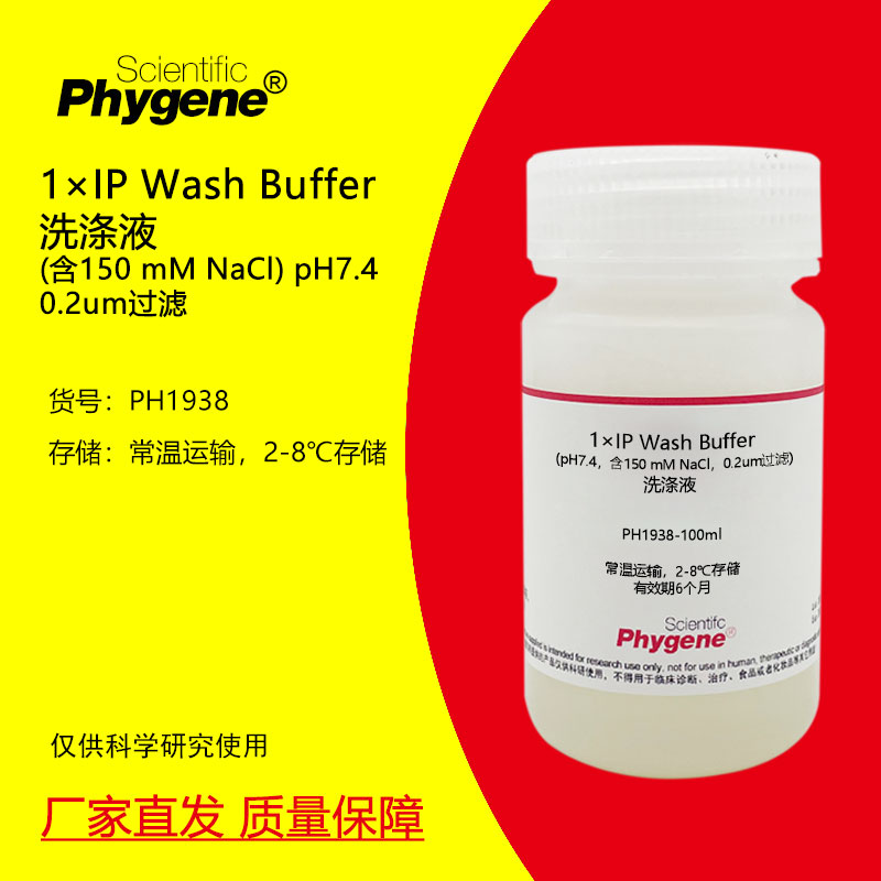 1&times;IP Wash Buffer洗涤液 (含150 mM NaCl) 100mL 免疫沉淀实验