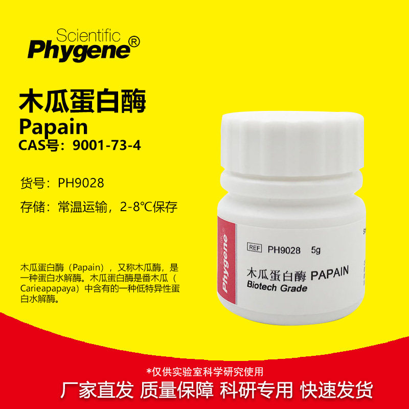 木瓜蛋白酶 木瓜酶 Papain 实验试剂 科研专用 [PH9028 PHYGENE]