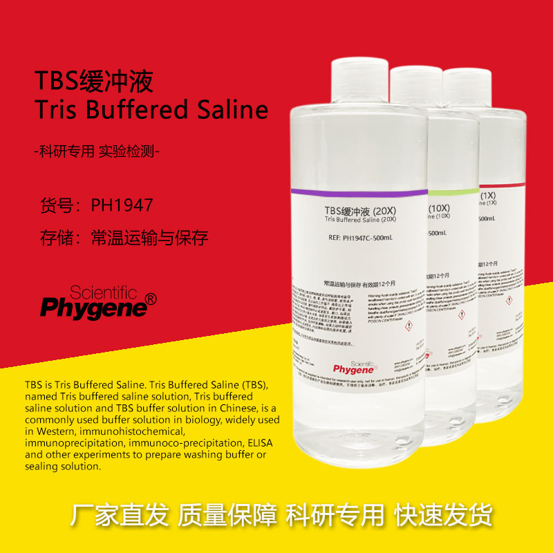 TBS缓冲液 Tris缓冲盐溶液 1X 10X 20X 科研实验 500mL PHYGENE