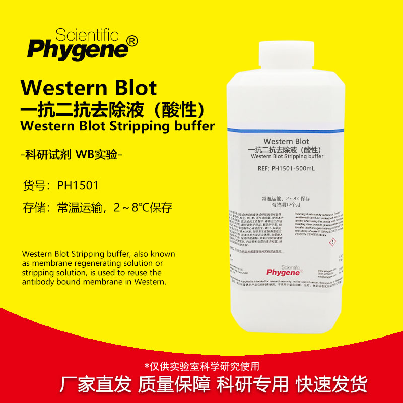 WB一抗二抗洗脱液(酸性) 膜再生液 抗体剥离液 Stripping buffer