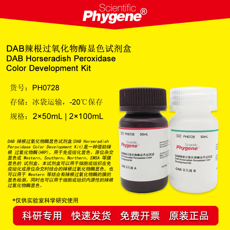 PH0728 DAB辣根过氧化物酶显色试剂盒 2&times;100ML 可开票 PHYGENE