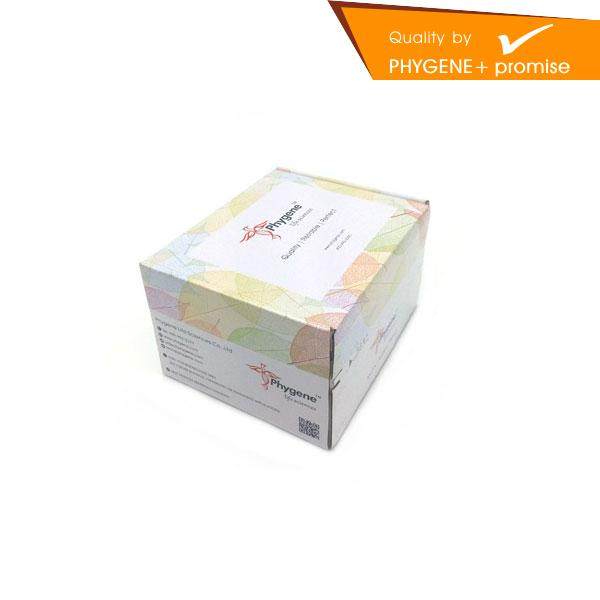 PH1700 MTS细胞增殖与毒性检测试剂盒 科研实验专用 Phygene