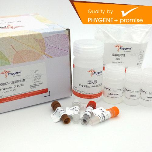 PH0214  酵母基因组DNA提取试剂盒 实验 试剂盒 包邮 Phygene