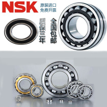 Import NSK bearings 6200 608Z 6000 6001 6002 6003 6004 6005ZZ 6006DDU