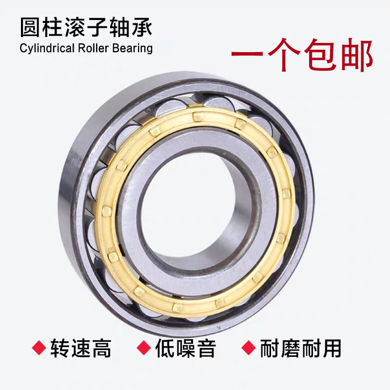 Cylindrical Roller Bearings NJ2304 2305 2306 2307 2308 2309 2310 2311 2312EM