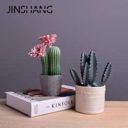 Simulated Cactus Flowering Potted Plant Series Decorative Ornaments Nordic Style Resin Crafts Green Plant Bonsai Decorations