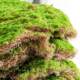 Loushujia Artificial Green Plant Landscaping Accessories, Fake Rockery, Moss, Moon Lamp, Micro-Landscape, Landscape Matching Soft Furnishings